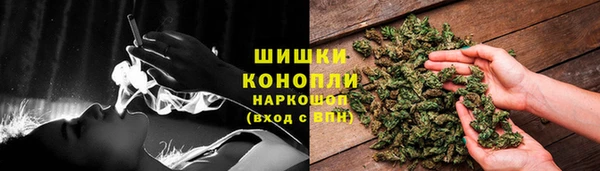 крисы Козловка