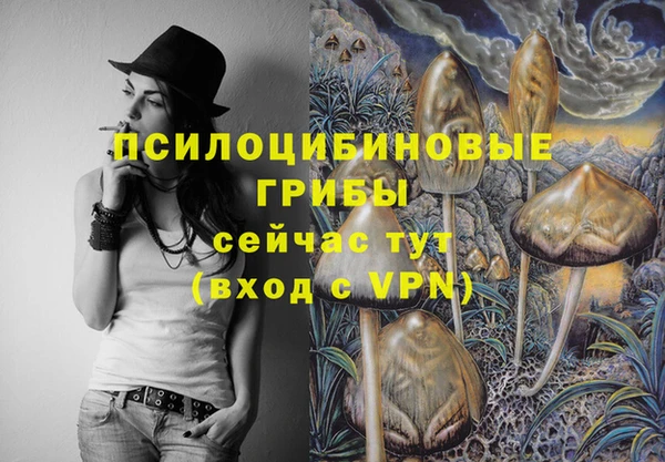 бутират Кодинск