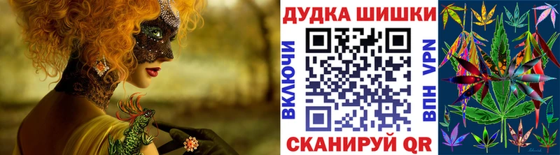 Бошки Шишки планчик  Оха 